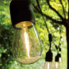 Ampoules Culot E27