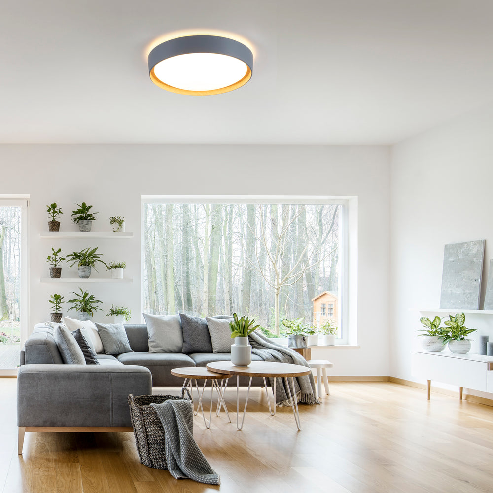 Showroom Designix Lyon
