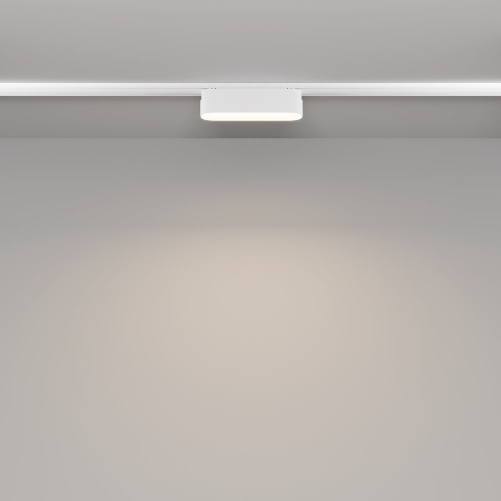 Basis Spot blanc