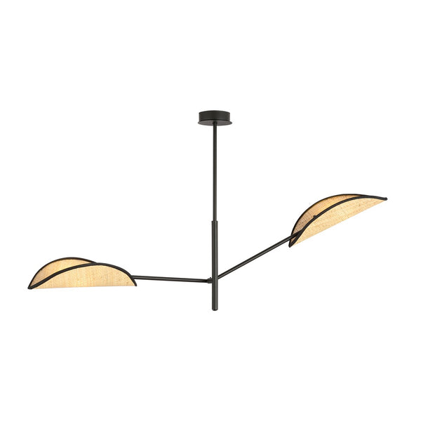 Suspension Vene 2 lumières noire
