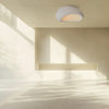 Luminaire plafonnier | Kaldanaro