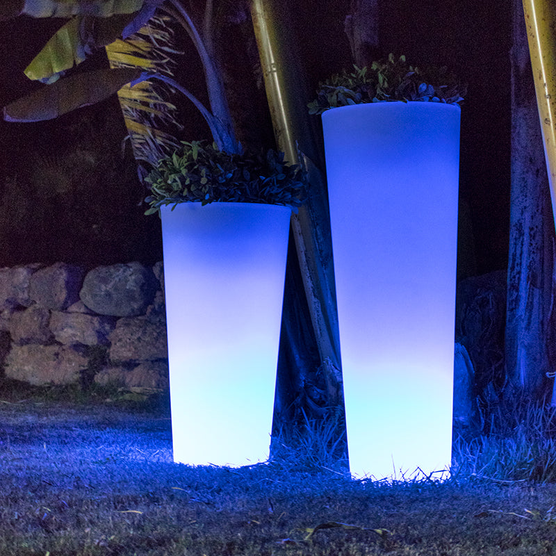 Jardinière lumineuse cylindrique Ficus