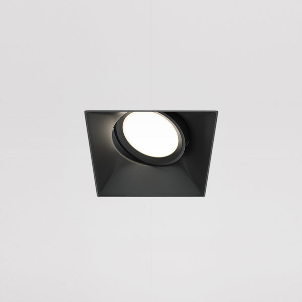 Dot Spot noir