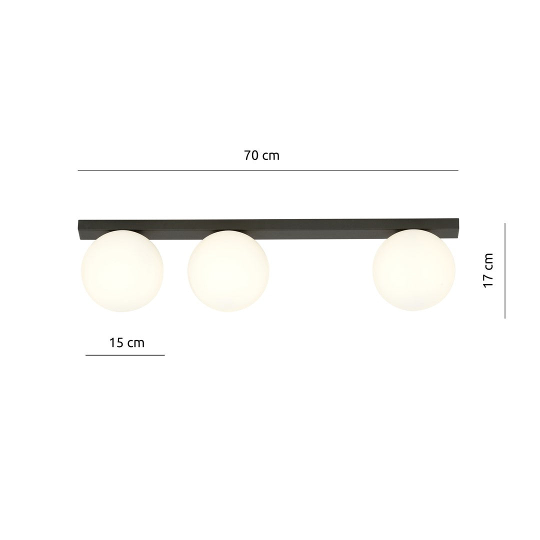 Schéma coté : 70 cm de large, 17 cm de haut, 15 cm de diamètre.