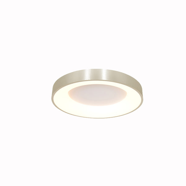 Plafonnier Argent Ringlede LED Dimmable