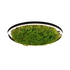 Plafonnier Green Ritus, L 58,5 cm