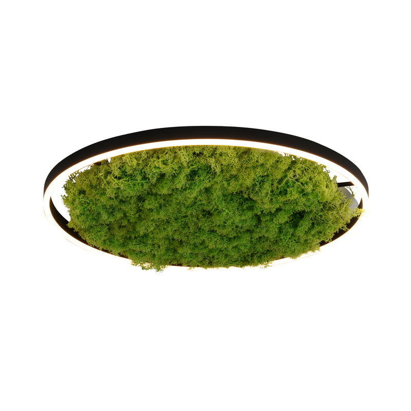 Plafonnier Green Ritus, L 58,5 cm
