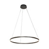 Suspension luminaire Ringlux noir