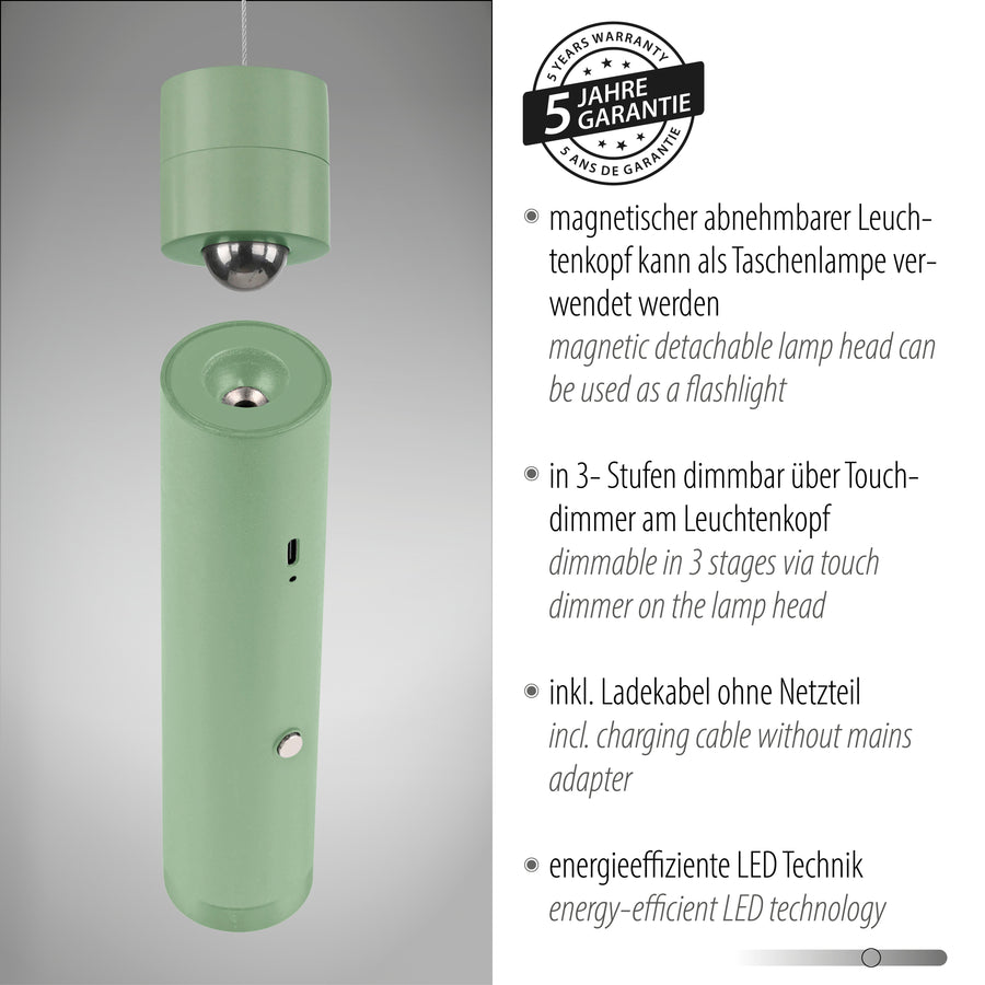 Gros plan tête amovible avec badge garantie cinq ans et arguments produit