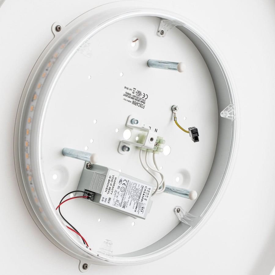 Applique murale LED MyLight Bahia, blanc, hauteur 55 cm