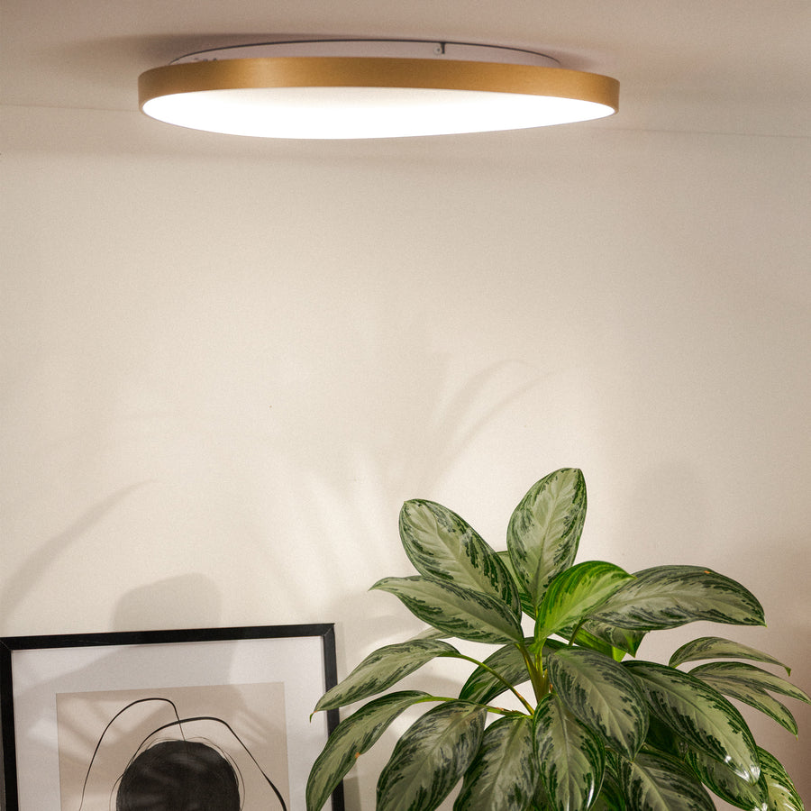 Luminaire doré fixé au plafond dans un intérieur avec plante verte et cadre.