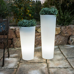 Jardinière lumineuse cylindrique Ficus