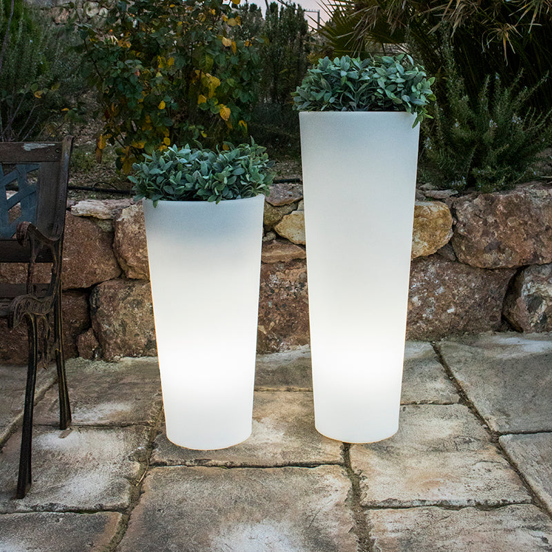 Jardinière lumineuse cylindrique Ficus