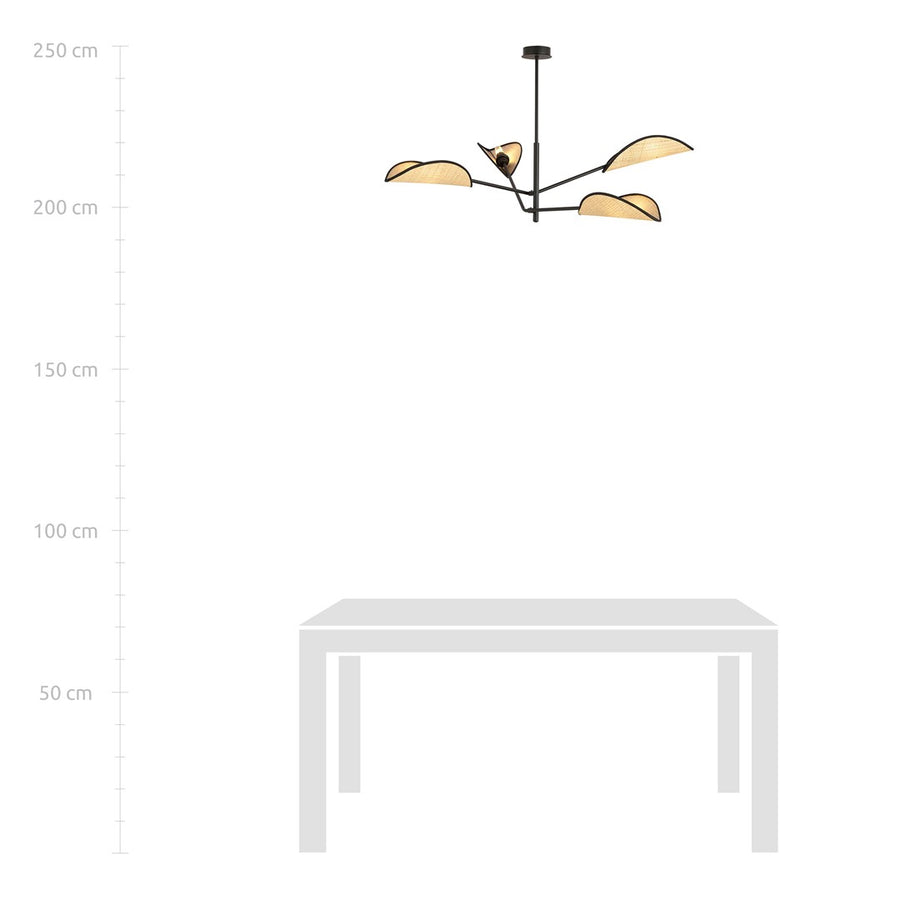 Suspension luminaire | Cassiopea