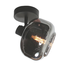 Spot plafond et mural 1 lumière Tenebris 4208ZW noir – élégant et polyvalent