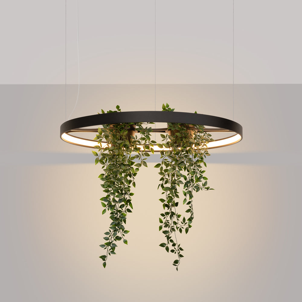 Showroom Designix Lyon