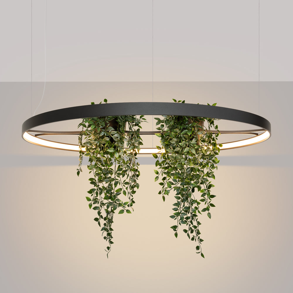 Showroom Designix Lyon