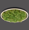 Plafonnier LED | Green Ritus