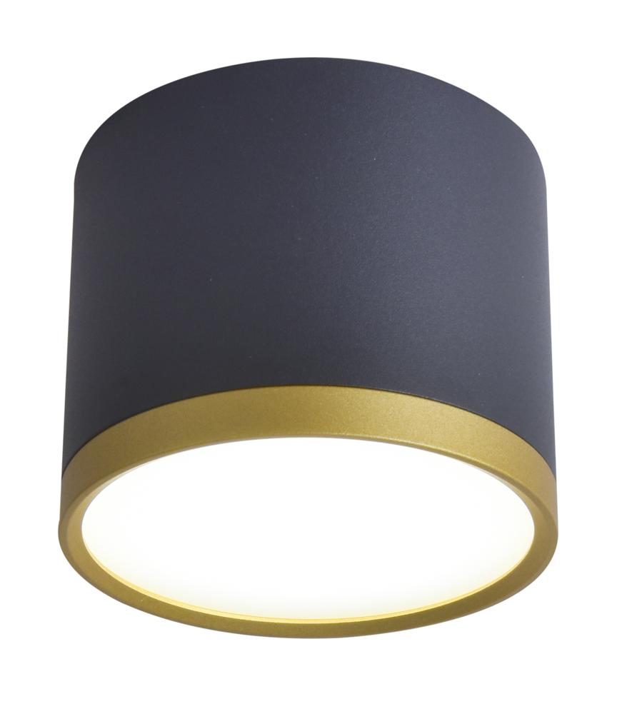 Vue rapprochée du plafonnier cylindrique noir et doré avec diffuseur blanc.