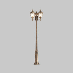 Fleur Luminaire noir