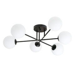 ROMA 6 Black Opal