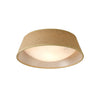 Luminaire plafonnier | Rosnelena
