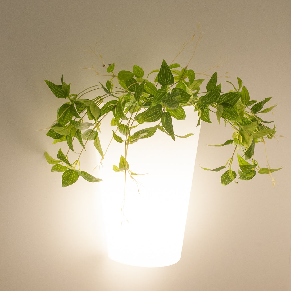 Luminaire extérieur | Teja