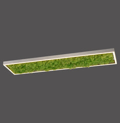 Plafonnier LED | Green Knut