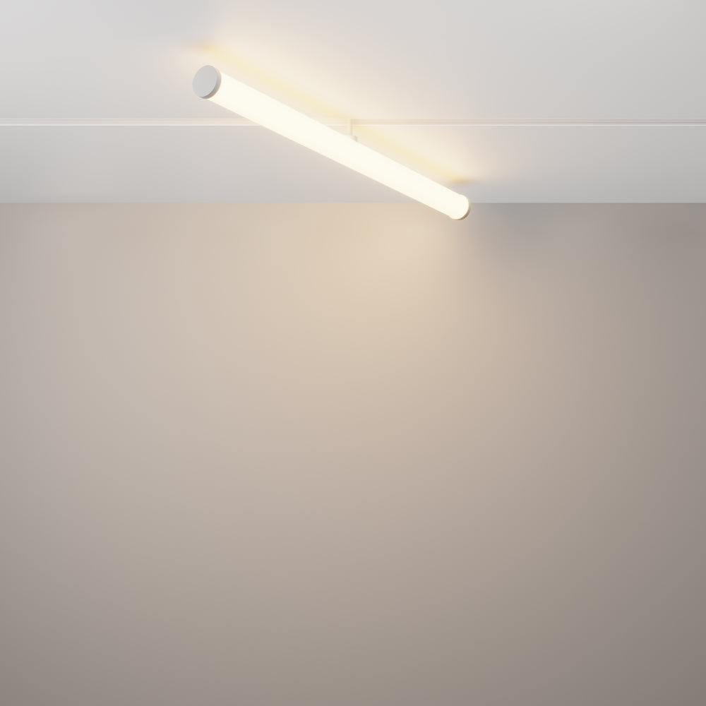 Larc Spot blanc