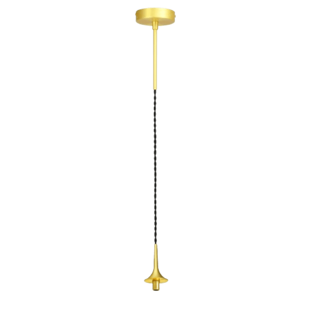 Vue d'ensemble du luminaire suspendu, rosace et douille dorées avec câble torsadé