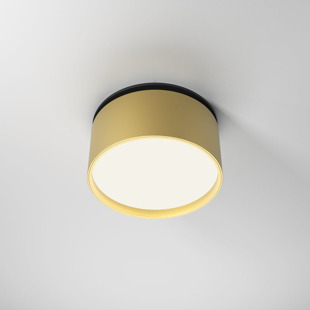 Onda Spot noir