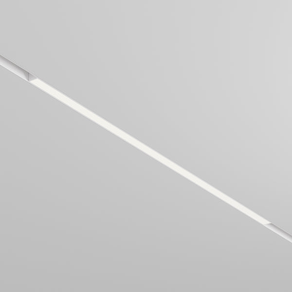 Basis Spot blanc