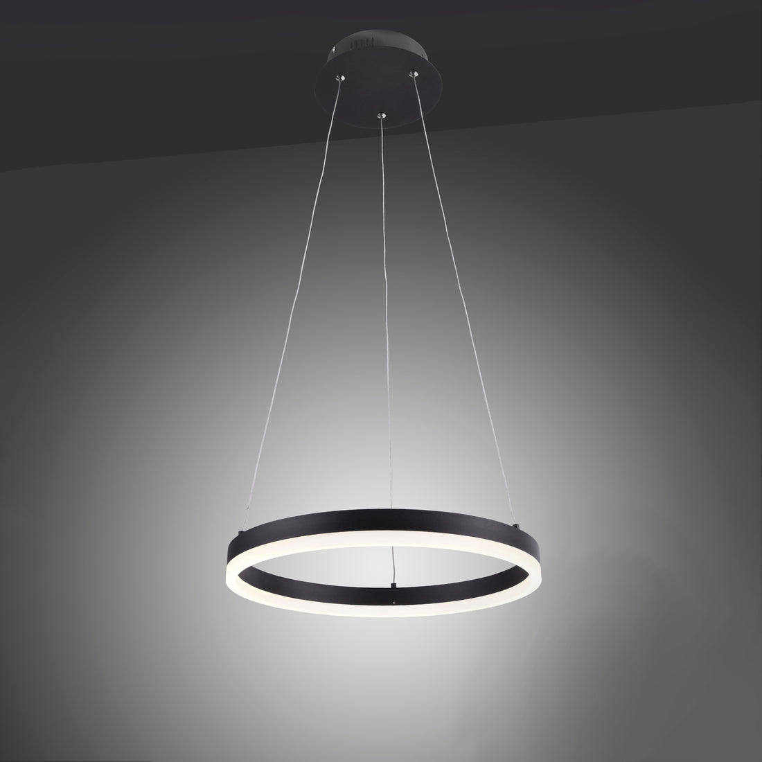 Suspension luminaire | Ringnoir