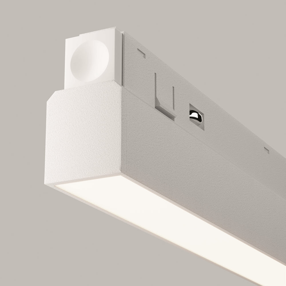 Basis Spot blanc