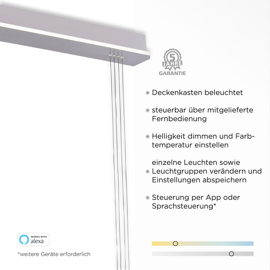 Détail du boîtier de plafond, câbles et garantie cinq ans avec fonctions connectées