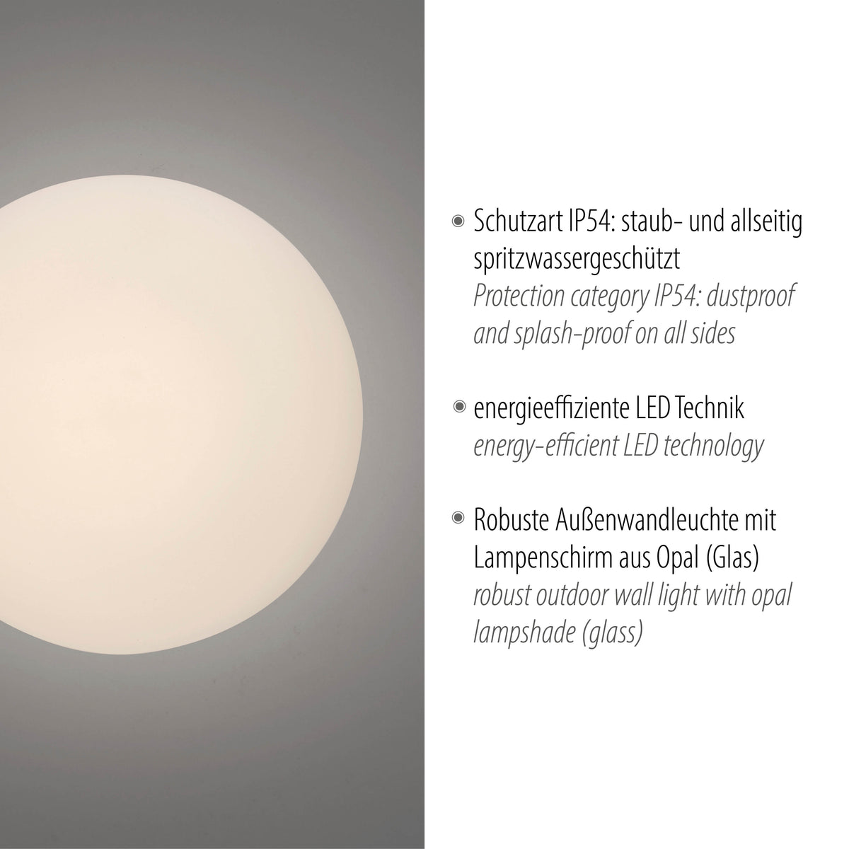 Fiche technique illustrée : caractéristiques IP54, LED et verre opalin pour extérieur