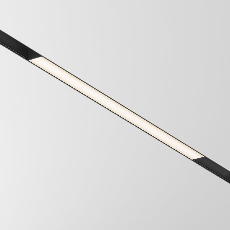 Basis Spot noir