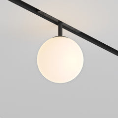 Luna Spot noir