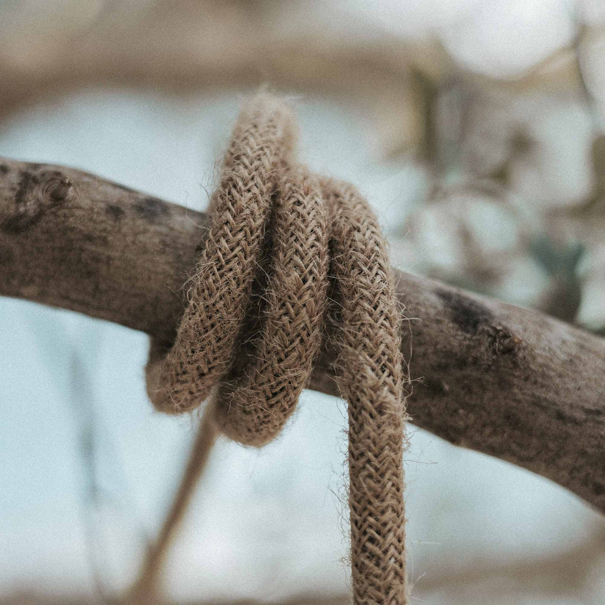 Câble textile d'extérieur Arteixo, 5 m