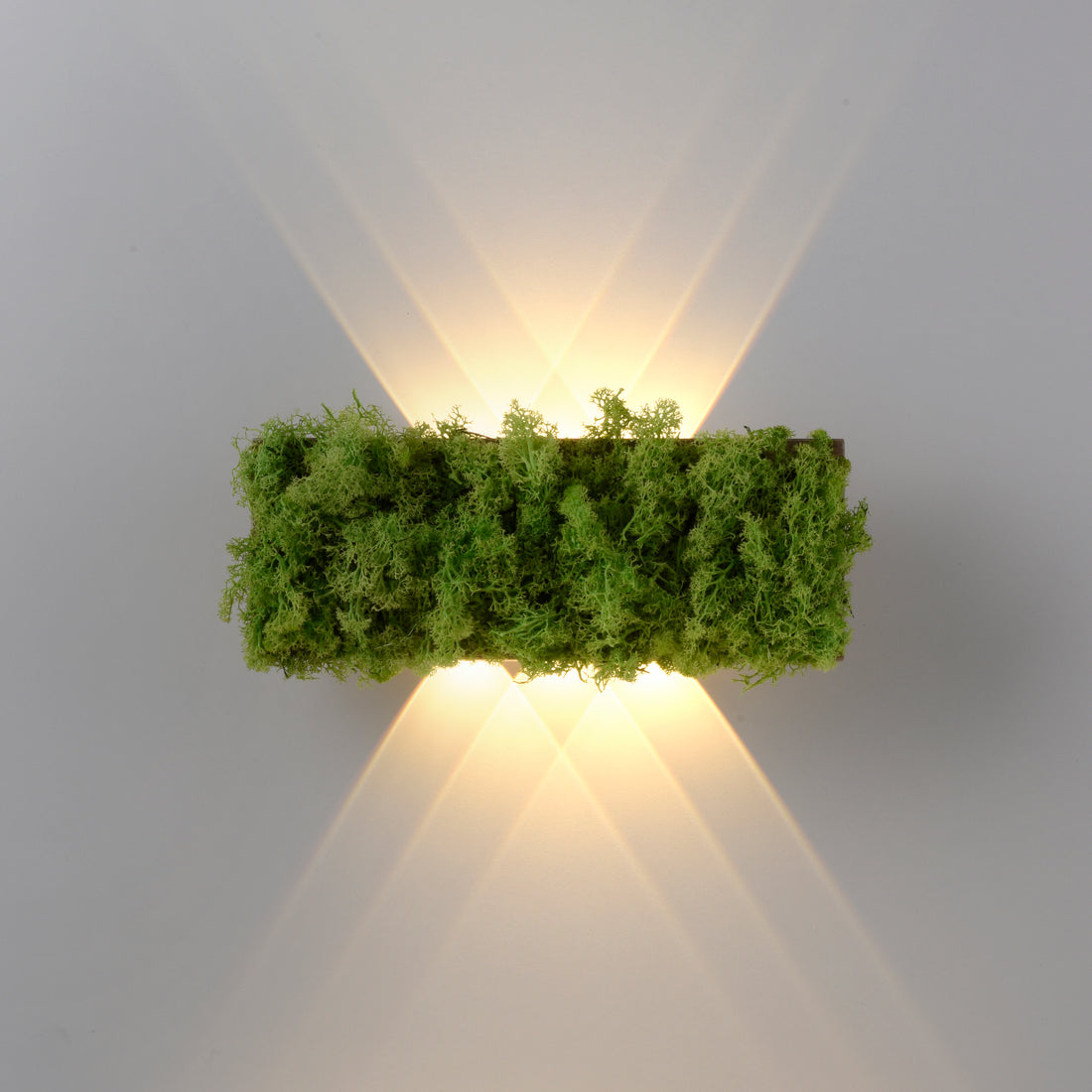 Plafonnier LED | Green Carl
