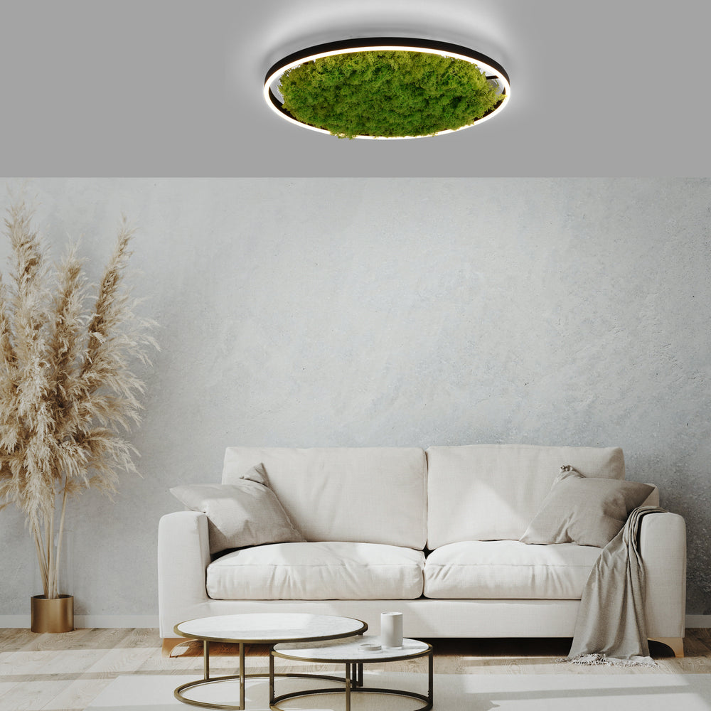 Showroom Designix Lyon