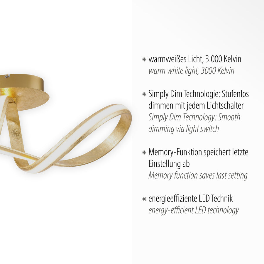 Détail de la finition dorée avec texte sur lumière chaude 3000 K et variateur.