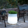 Jardinière lumineuse Camelia