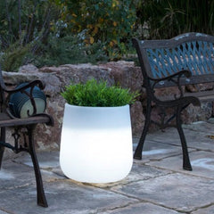 Jardinière lumineuse Camelia