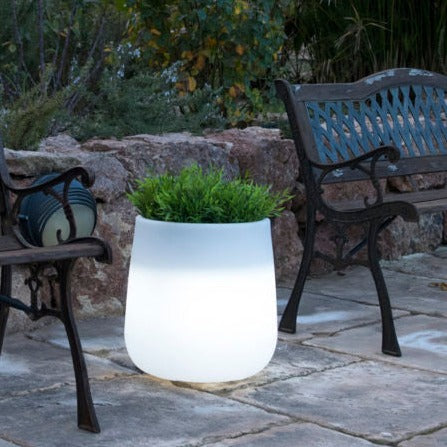 Jardinière lumineuse Camelia