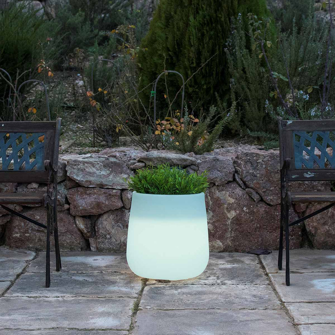 Jardinière lumineuse Camelia