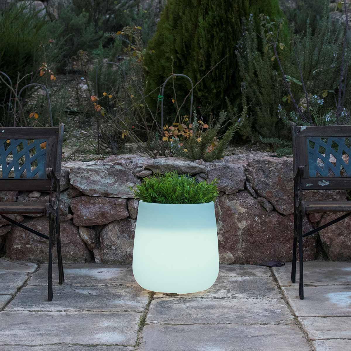 Jardinière lumineuse Camelia