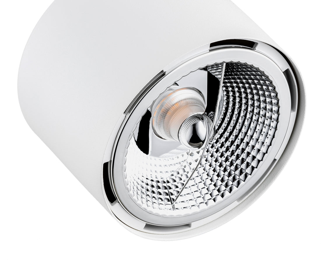 Spot Clevland