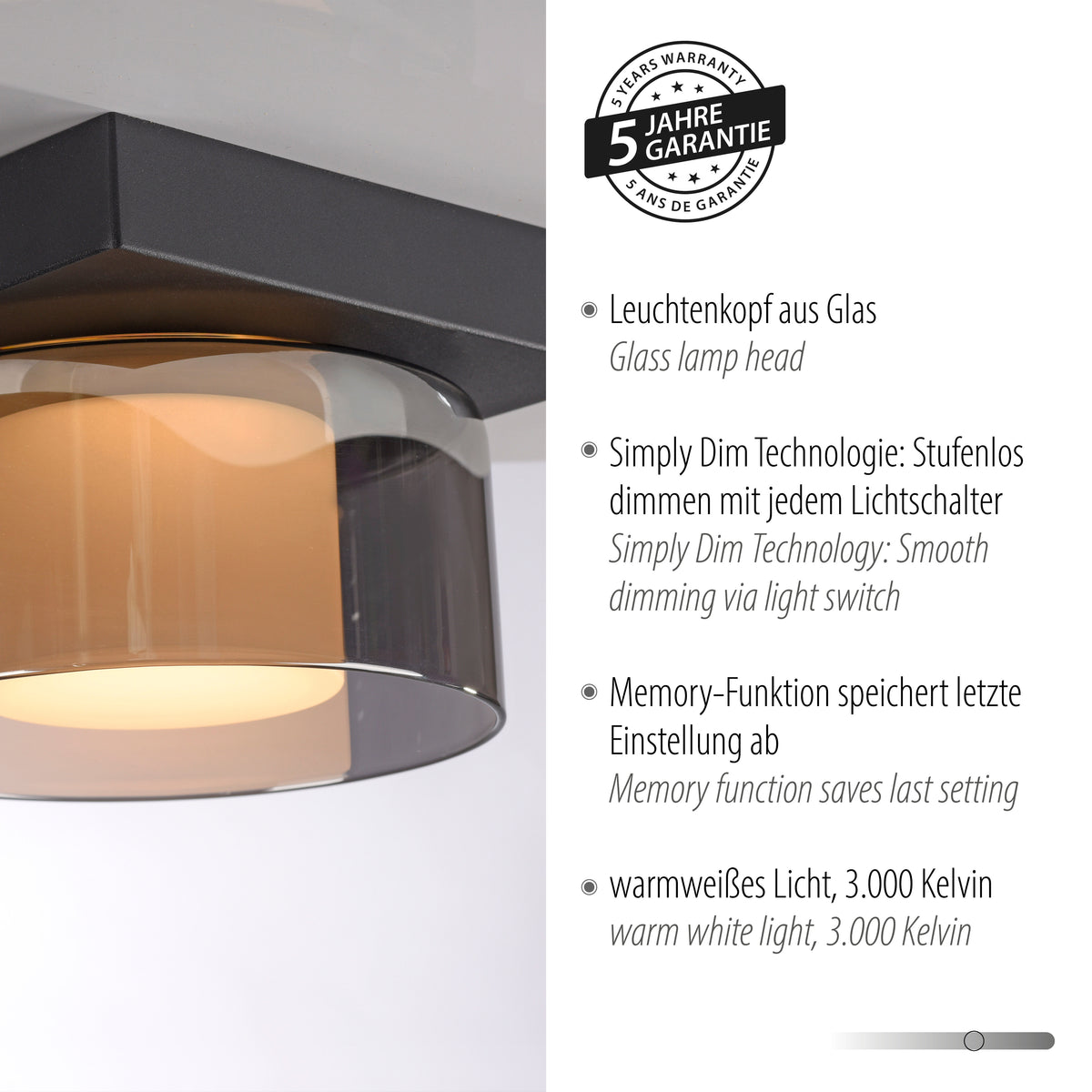 Gros plan du luminaire avec logo cinq ans de garantie et mentions techniques du produit.
