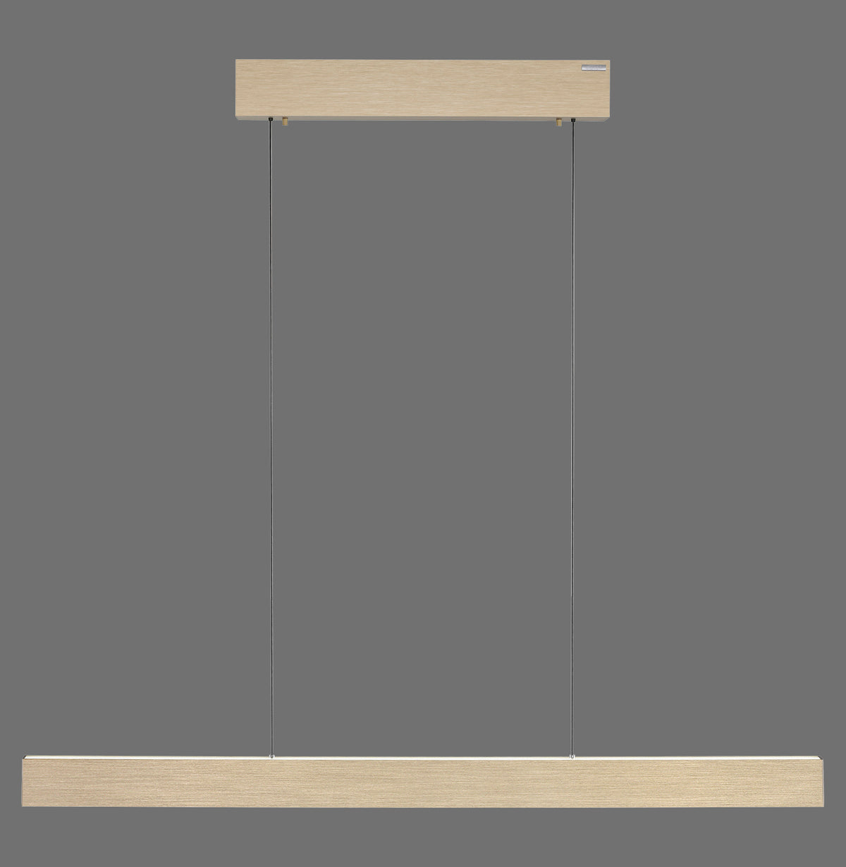 Vue de face de la suspension linéaire et de son support de plafond